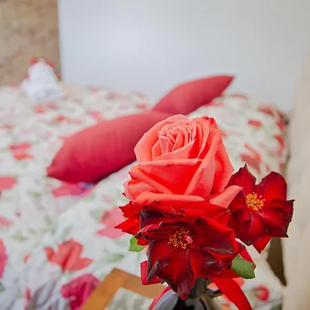 La Terrazza Sul Vigneto 住宿加早餐酒店 3*