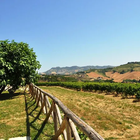 La Terrazza Sul Vigneto Offida